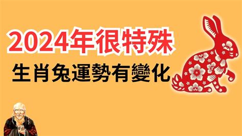 2024生肖兔運勢|2024年生肖兔的运势及运程